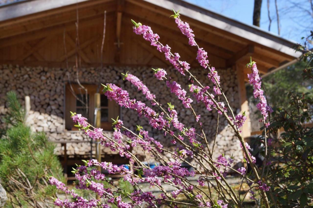 Ferienhaus Waldwinkl Hotel Grainau Exterior foto